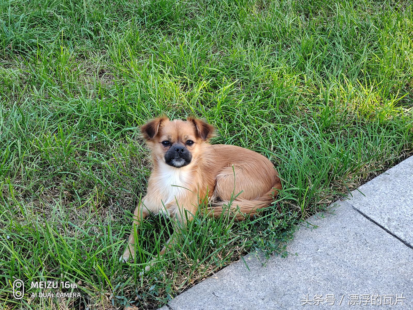 魅族16pro深度评测,魅族16评测蓝色字体