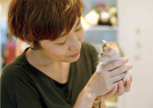 领养代替购买真的好吗,以领养的名义骗人买猫粮是否合法