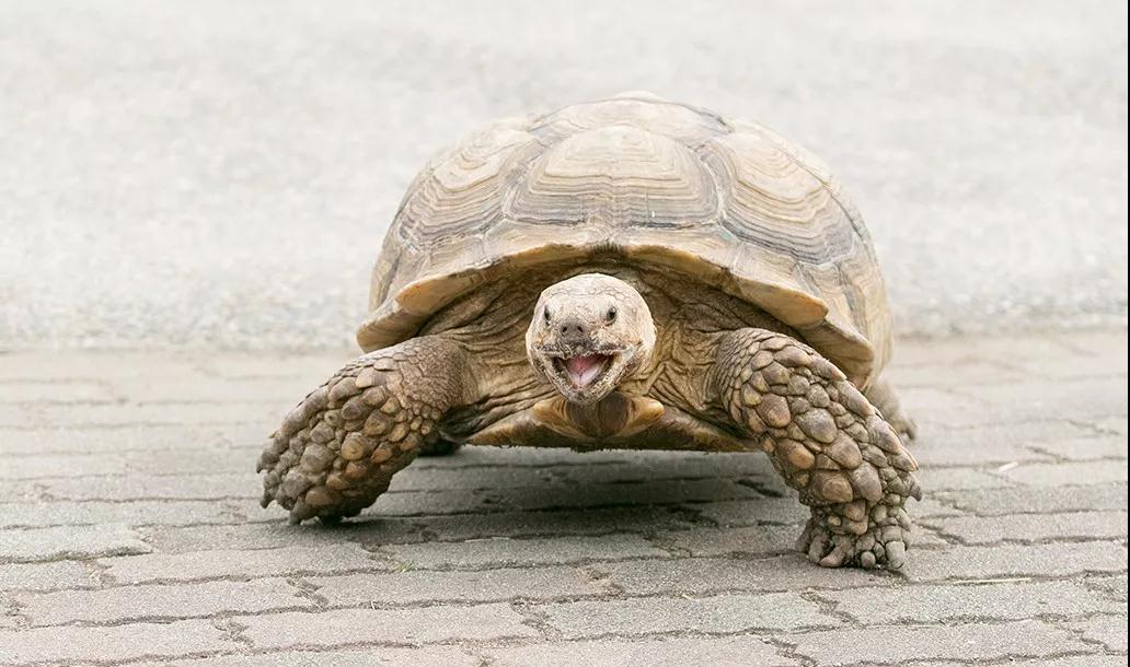 亲子牧场推荐,亲子牧场有哪些