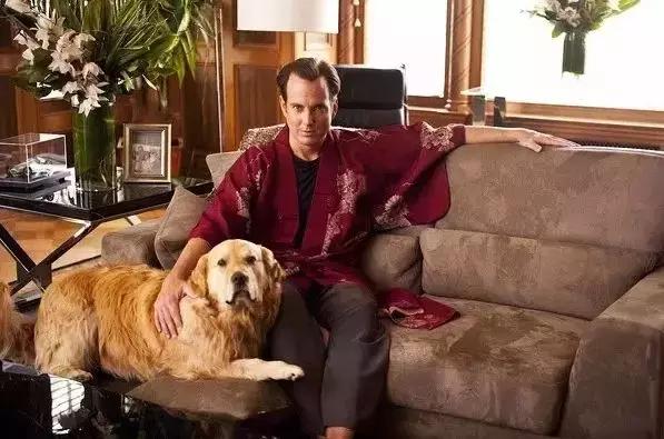 朋友圈装逼神剧？来，一起干了这碗毒鸡汤