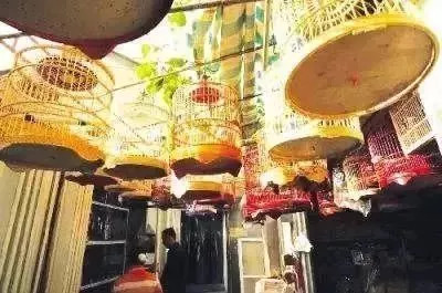 10天后，官园批发市场就没了！想怀念再去瞜一眼，顺便捡漏！