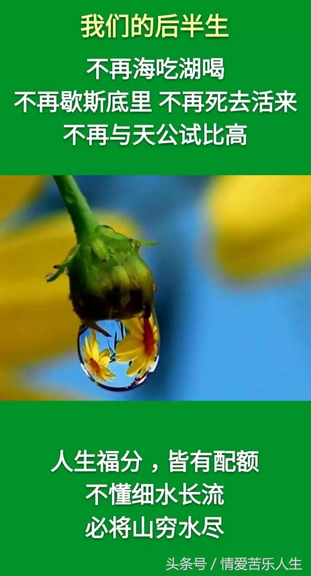 我们的后半生的美文,我们的后半生全集