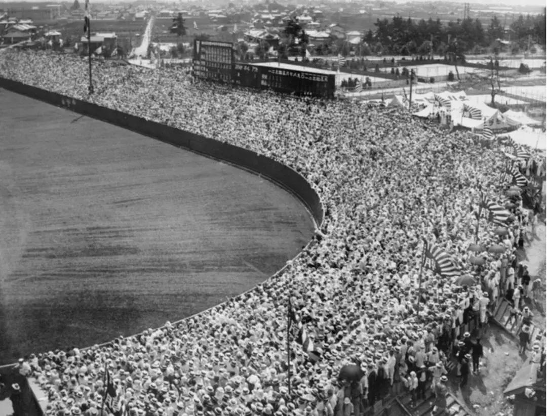 战争狂热之谜,战争和恋爱