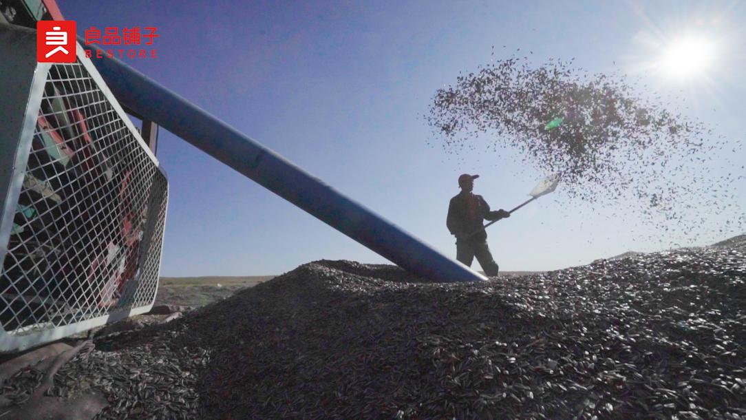 良品铺子发展能力分析,一粒瓜子的质量