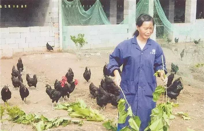 大时代小岁月丨何姮娟：从流水线到养殖场，靠的是一股自信