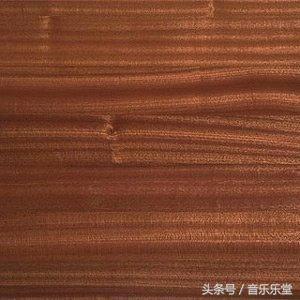 吉他新手选购推荐品牌价格,吉他新手必买书