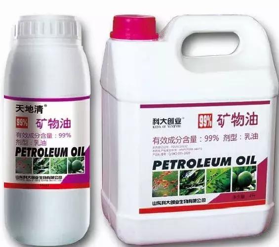 凉风至白露降寒蝉鸣下一句,夏天多肉小白虫消灭方法