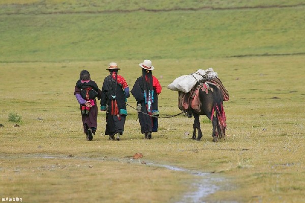 生活在*藏西**多年的“外来物”，竟隐瞒着自己的身份