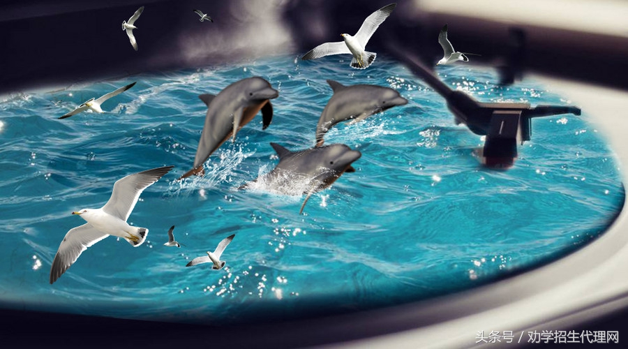 教育机构招生线上线下结合新思路,教育机构招生创意视频