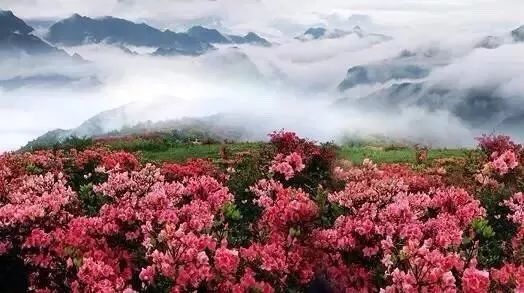 环云南自驾旅游攻略最佳线路,南宁自驾游云南最佳旅游攻略