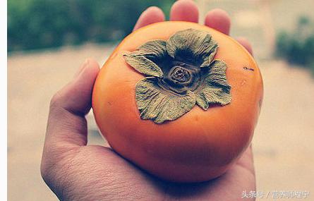 中医治疗痔疮用什么汤,食疗治痔疮的最佳方法