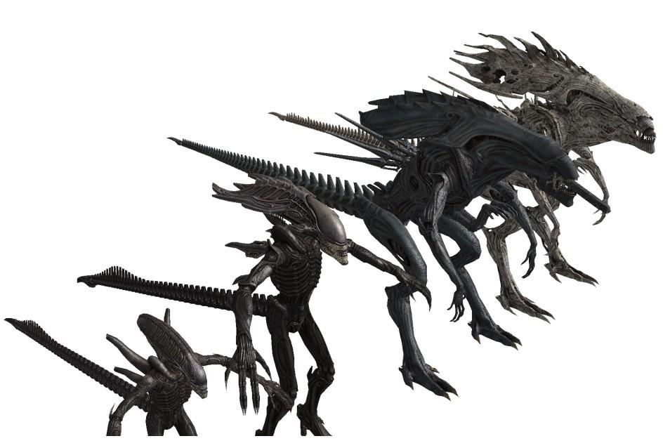 经典影视ip都有什么,经典ip形象有哪些