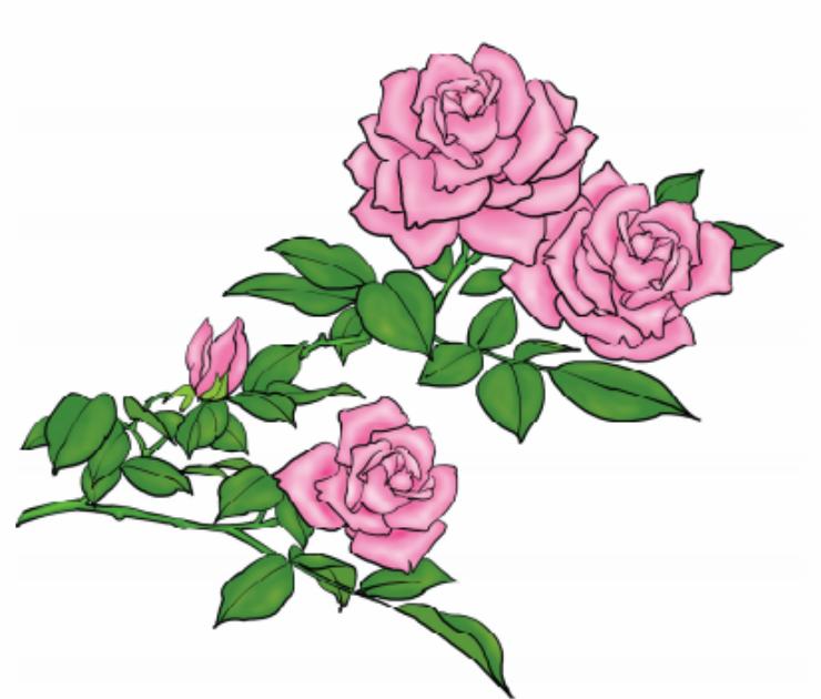 看图写作文标题紧扣中心,看图作文怎么写好