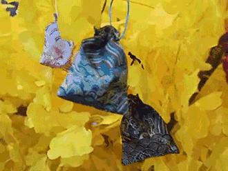 内部员工爆料最新,内部员工爆料广西南宁