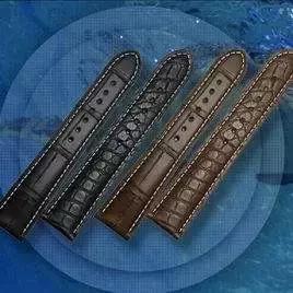 佩戴最舒服的表带是哪种材质,涨知识的常识有哪些