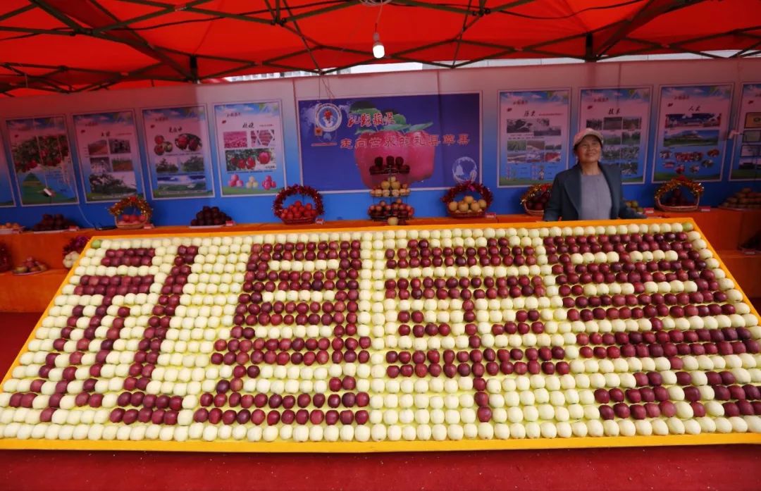 中国首届农民丰收节陕西分会场,陇南中国农民丰收节热点