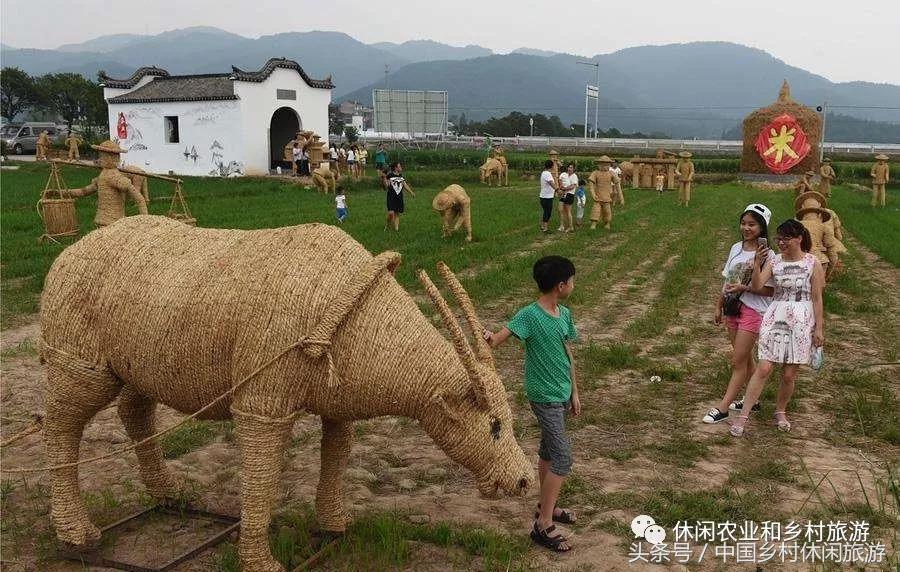 农业体验活动创意项目,休闲农业体验活动评估