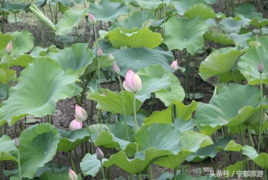 与大自然的完美邂逅,与大自然亲密邂逅