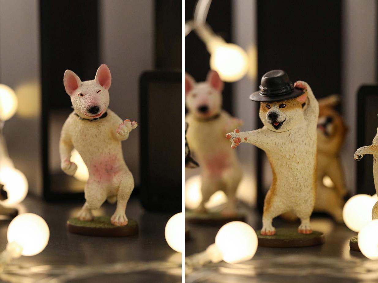 DancingDog唤醒你的舞蹈魂！