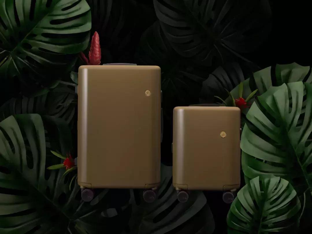 梁洛施秋冬穿搭,梁洛施机场装扮