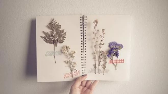 辽宁省科学技术馆门票,辽宁省科技馆科学工作室报名