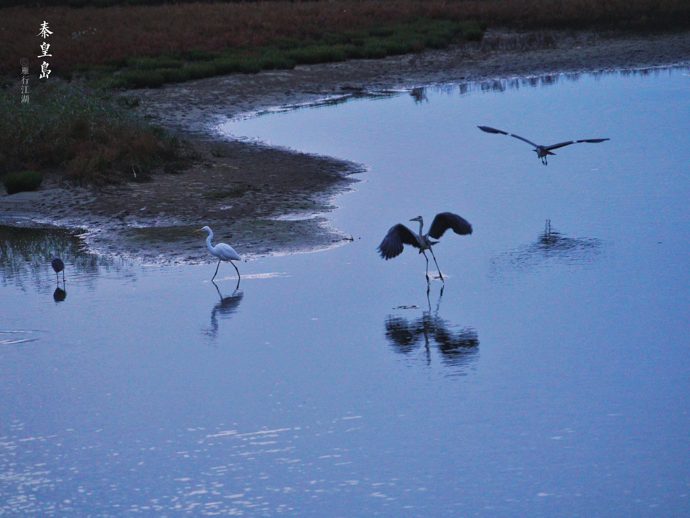 秦皇岛鸽子窝看日出攻略,秦皇岛动物园到鸽子窝