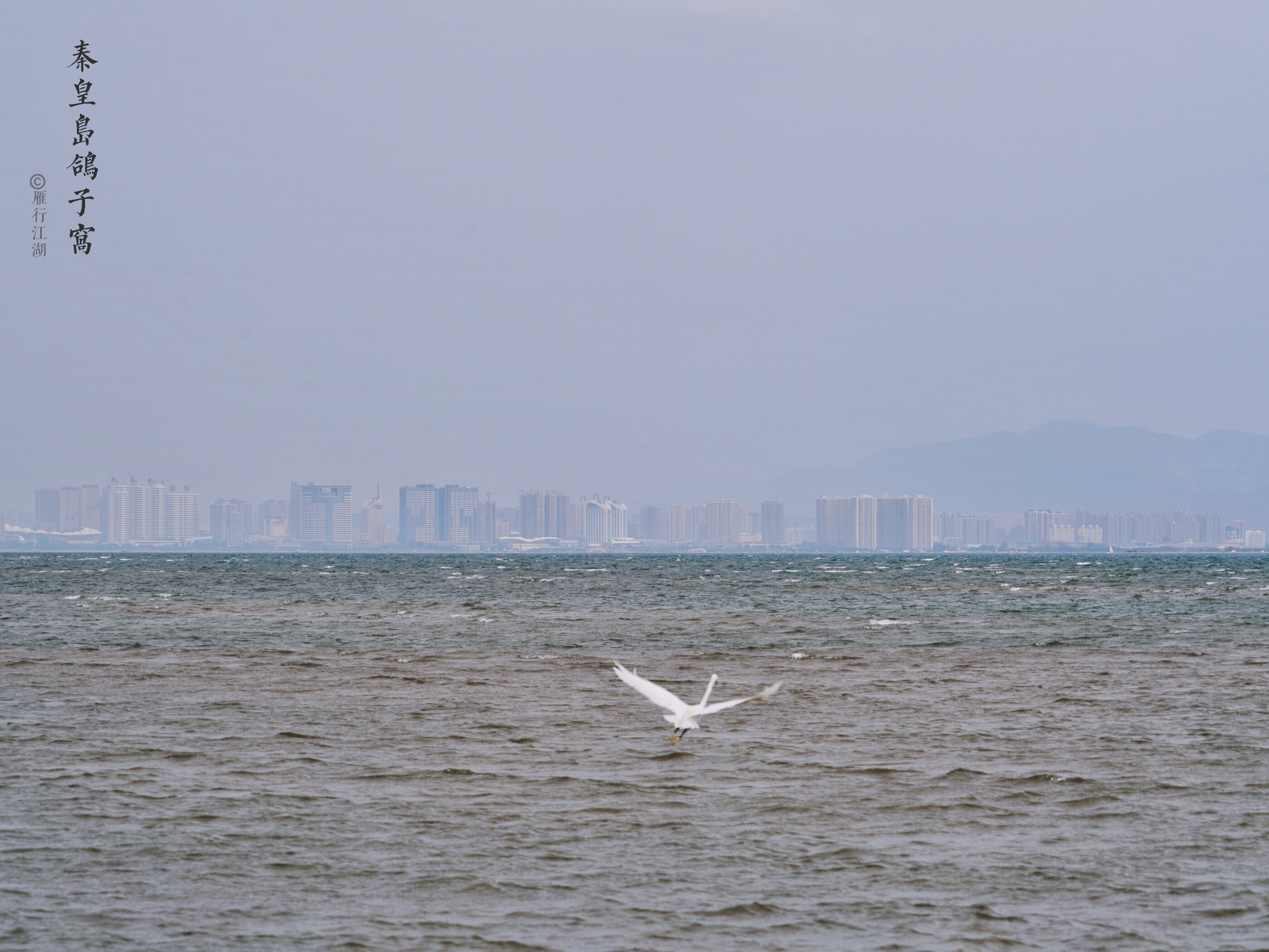 秦皇岛鸽子窝看日出攻略,秦皇岛动物园到鸽子窝