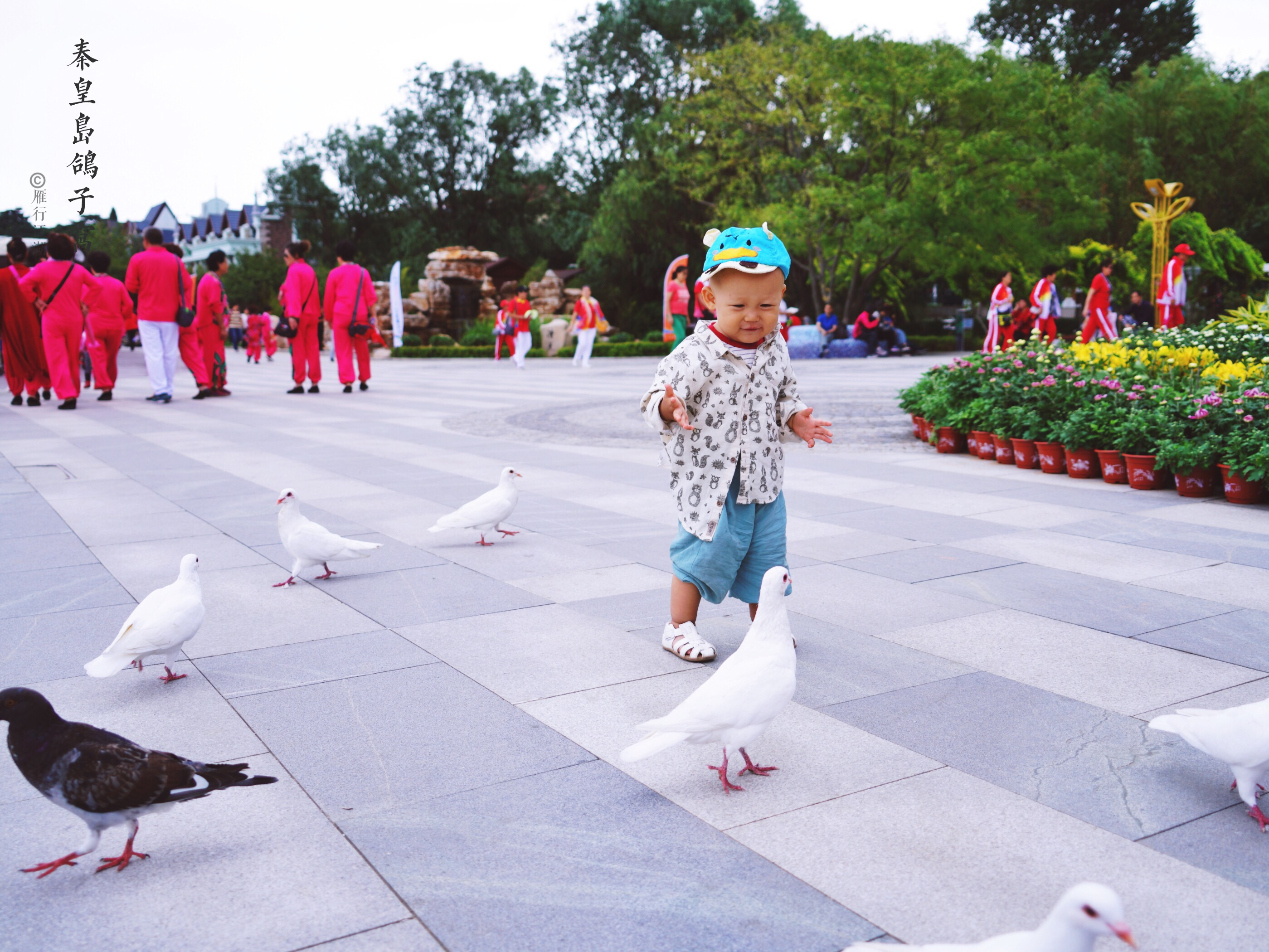 秦皇岛鸽子窝看日出攻略,秦皇岛动物园到鸽子窝