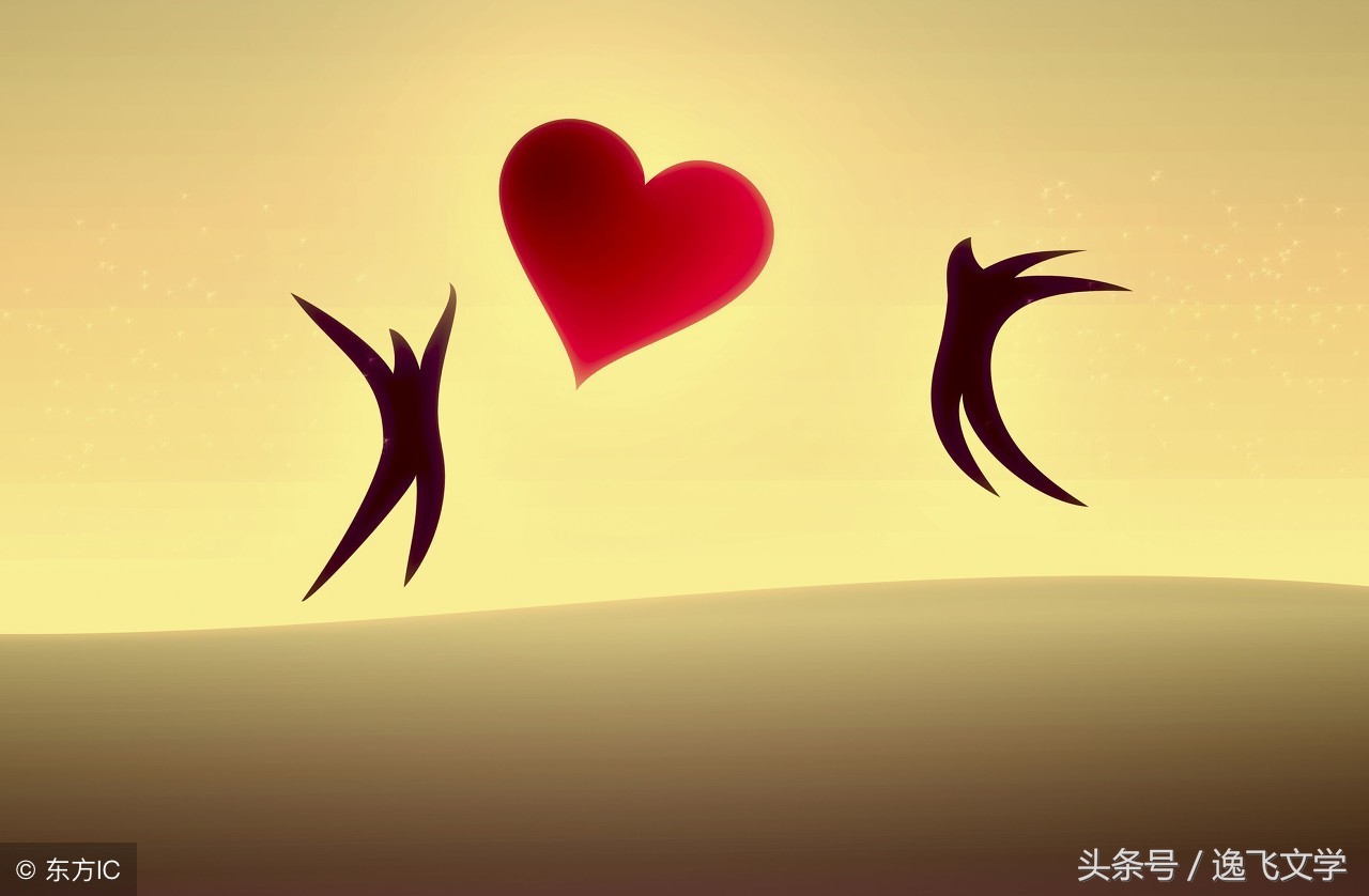 美丽的遇见感言,美丽的遇见在茫茫人海中