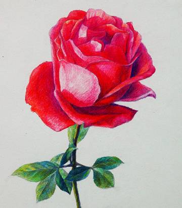 几何图形最难画的,几何体的缺陷是如何画的