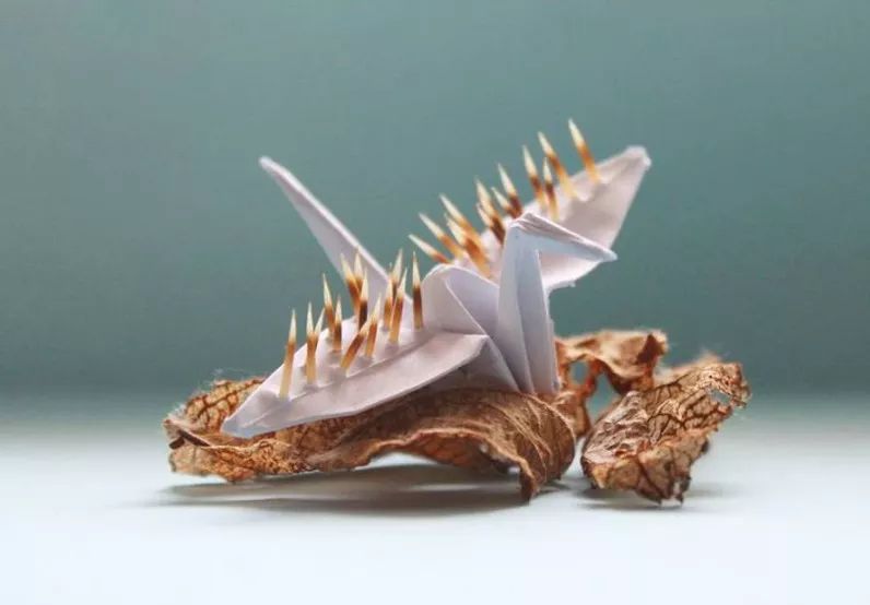 每天折一个千纸鹤,每天折一只纸鹤