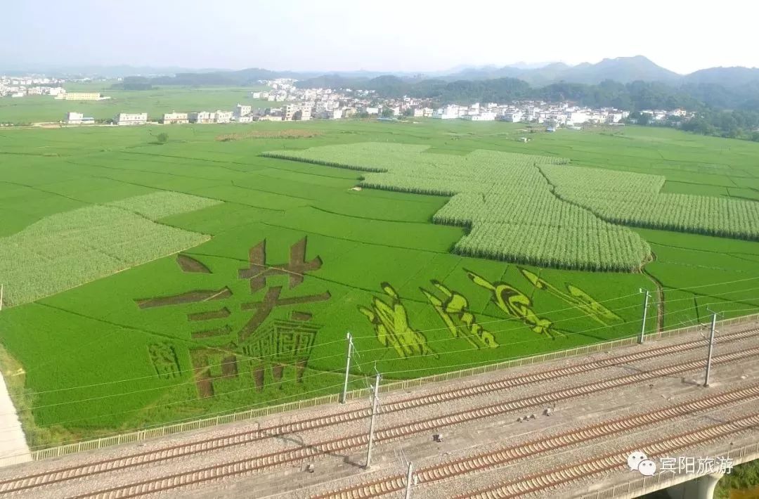 宾阳古辣邀请函,2020年宾阳县古辣