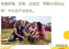 宾阳古辣邀请函,2020年宾阳县古辣