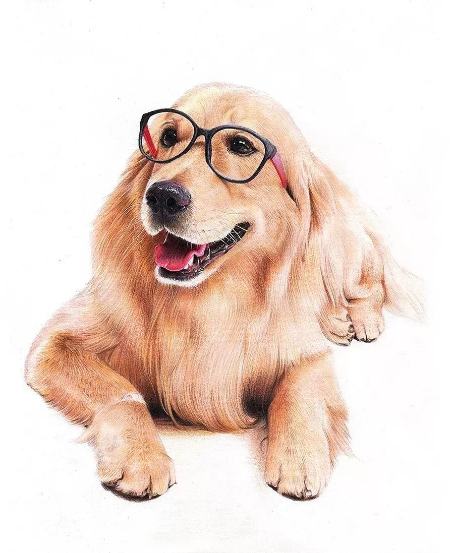 拥有800万超高人气，看看这位大神，是如何用水溶彩……