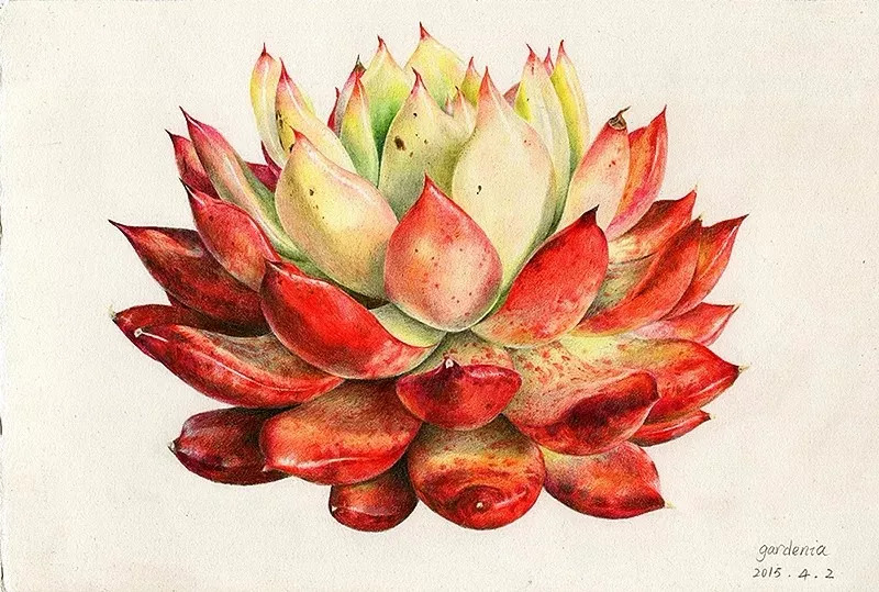 她画的超写实水彩花卉美到窒息,让人惊艳的水彩画