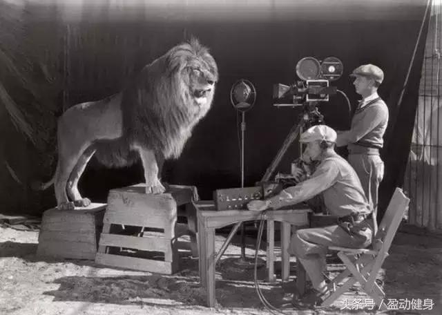 14岁贝克汉姆,14岁贝克汉姆的儿子