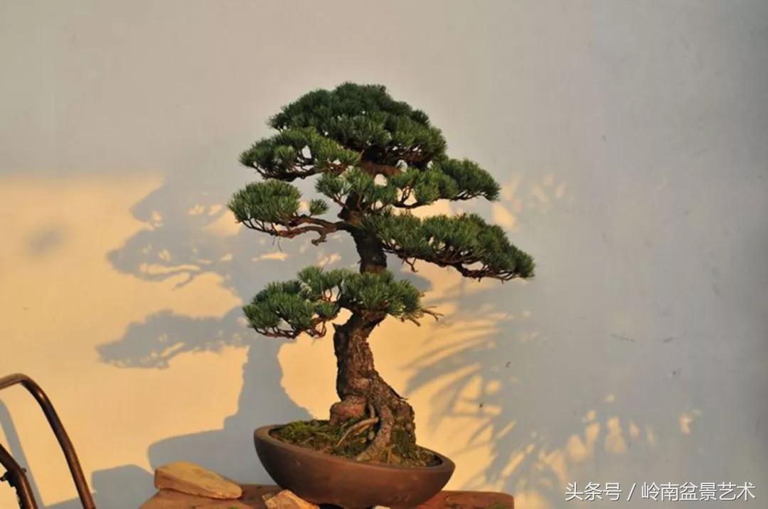 神来之笔绘画作品欣赏,神来之笔书法作品大全