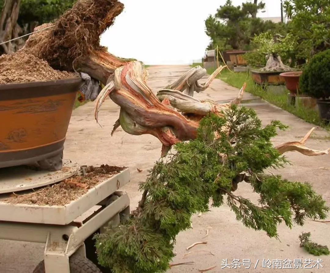 神来之笔绘画作品欣赏,神来之笔书法作品大全