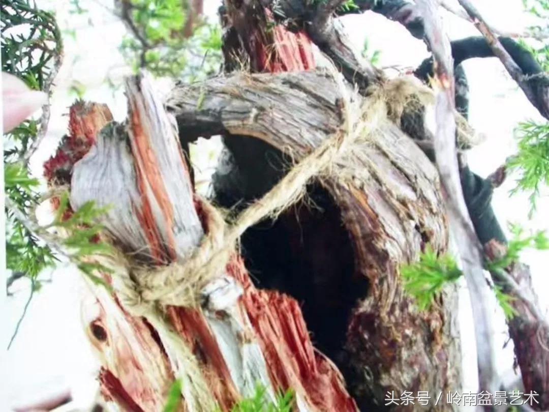 神来之笔绘画作品欣赏,神来之笔书法作品大全