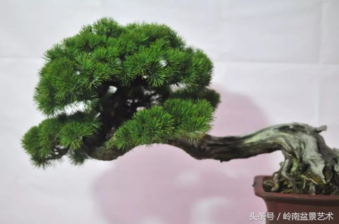 神来之笔绘画作品欣赏,神来之笔书法作品大全