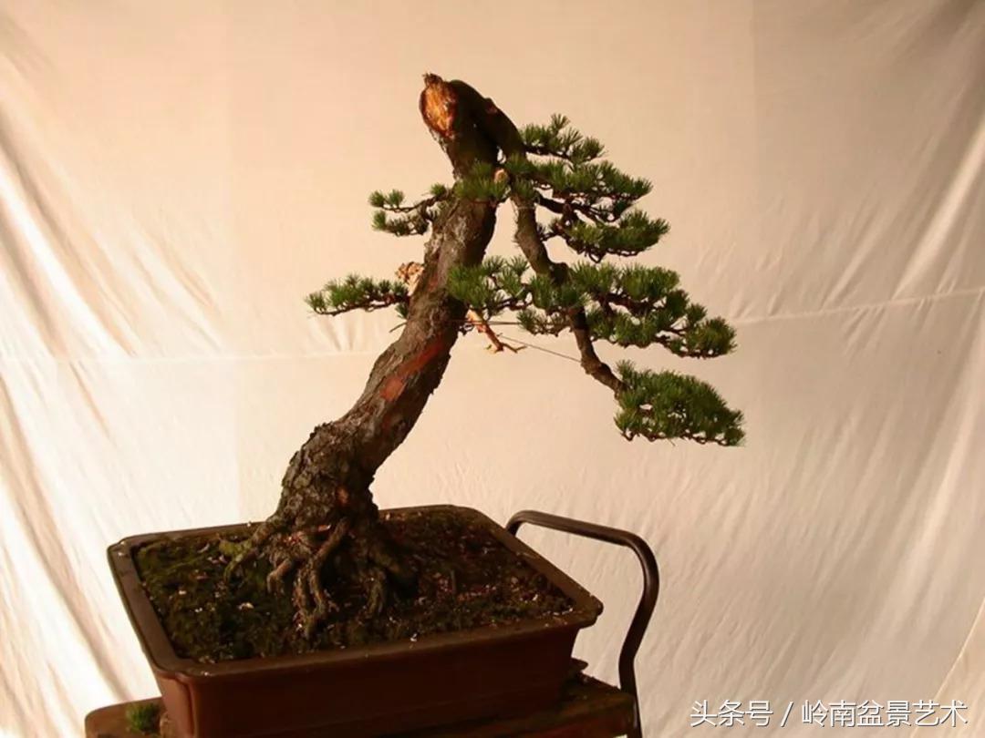 神来之笔绘画作品欣赏,神来之笔书法作品大全