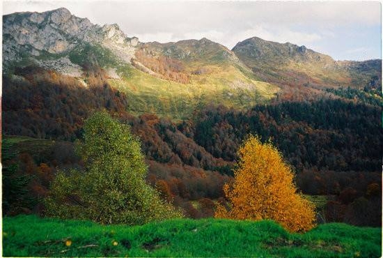 世界第一治病的温泉,法国治疗癌症的泉水