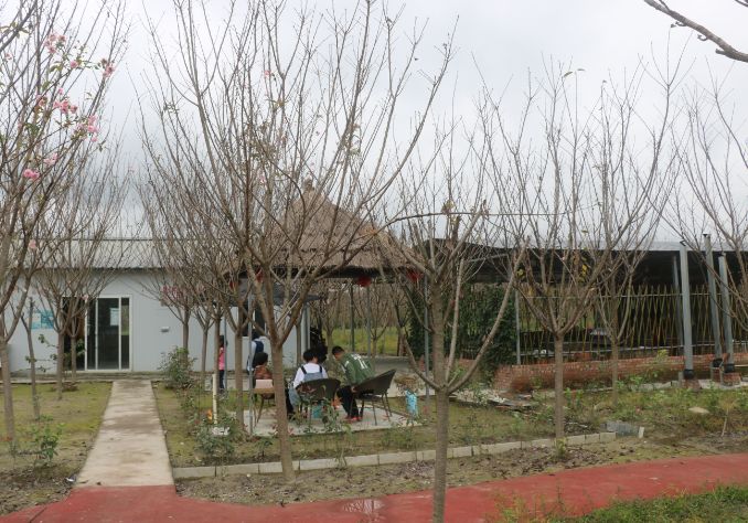 最好看的紫薇花美景,初秋靓丽的紫薇花