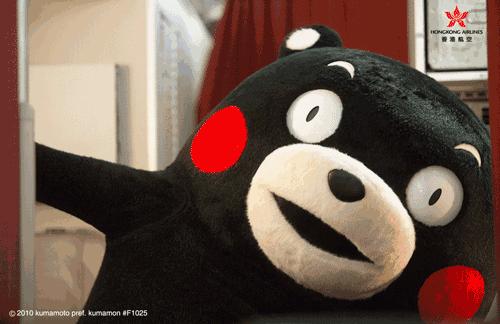 今天来逛西博会最全攻略,西博会有什么玩的