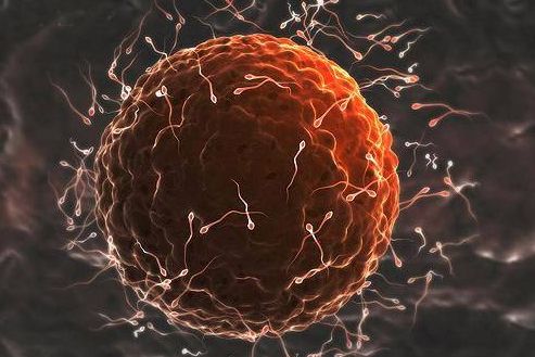 生男生女传言大全,生男生女真的是随机吗