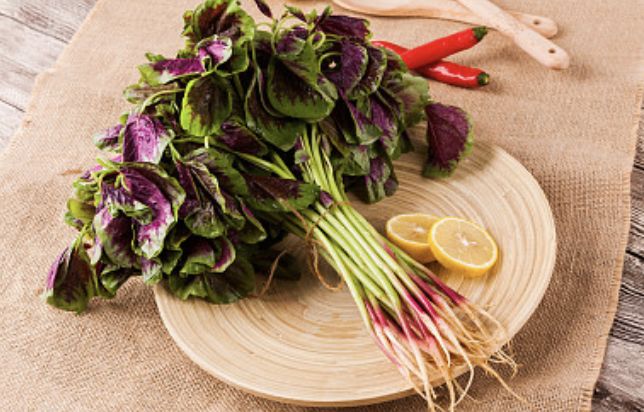 秋分活动攻略,秋分丰收攻略