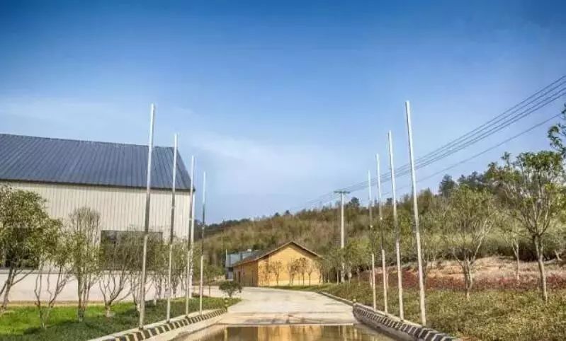 养猪怎么才能提高经济效益,养猪的经济效益和社会效益