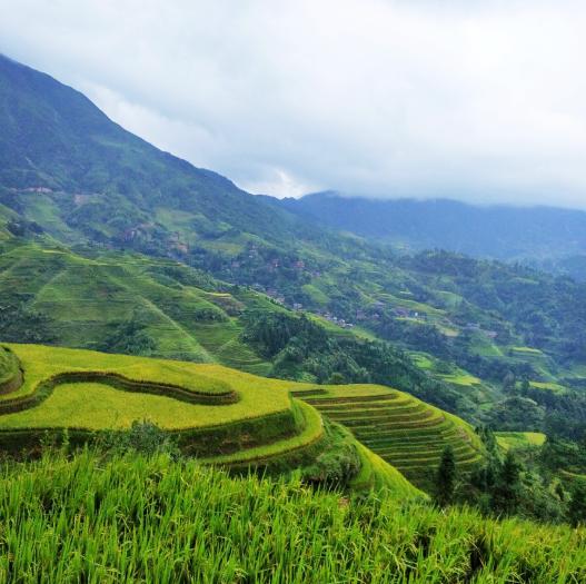 广西南宁北海桂林自由行攻略,桂林阳朔龙脊梯田北海旅游攻略
