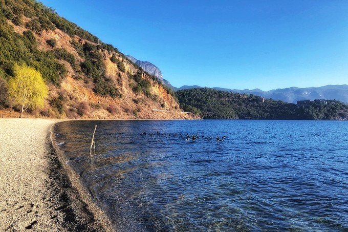 云南八日：看我家帅气小哥哥如何拍照？网友：花痴也要有限度