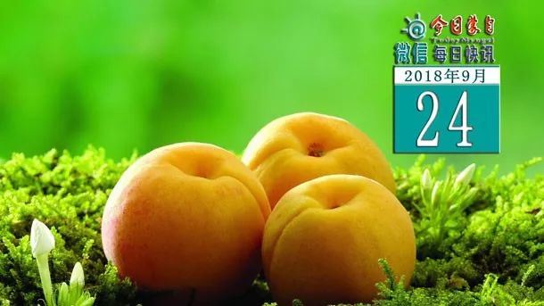 蒙自消息,蒙自今天新闻快报